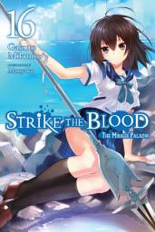 Icon image Strike the Blood (light novel): The Mirage Paladin