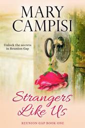 Icon image Strangers Like Us