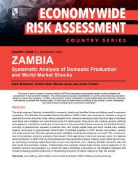 Icon image Zambia: Systematic analysis of domestic production and world market shocks