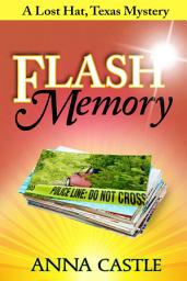 Icon image Flash Memory