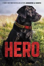 Icon image Hero: Volume 1