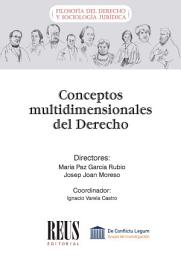 Icon image Conceptos multidimensionales del Derecho