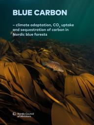 Icon image Blue Carbon – climate adaptation, CO2 uptake and sequestration of carbon in Nordic blue forests: Results from the Nordic Blue Carbon Project​