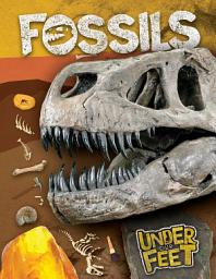 Icon image Fossils