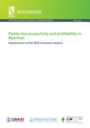 Icon image Paddy rice productivity and profitability in Myanmar: Assessment of the 2022 monsoon season