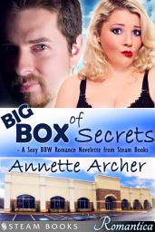 Icon image Big Box of Secrets - A Sexy BBW Romance Novelette from Steam Books