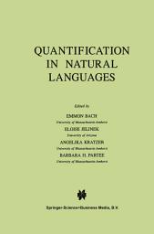 Icon image Quantification in Natural Languages