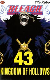 Icon image Bleach 43