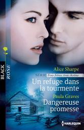 Icon image Un refuge dans la tourmente - Dangereuse promesse: T2 - Trois frères, trois destins