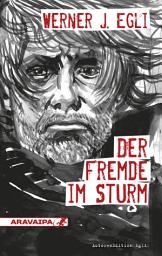Icon image Der Fremde im Sturm