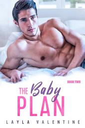 Icon image The Baby Plan (Book Two)