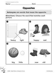 Icon image Vocabulary: Opposites Practice