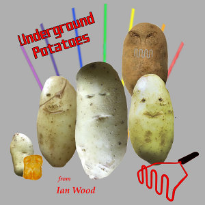 Icon image