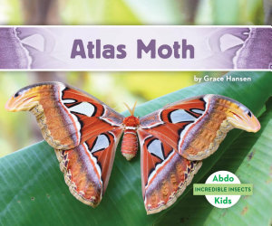 Icon image Atlas Moth