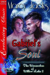 Icon image Gabriel's Soul [The Werewolves of Willow Lake 4]