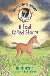 Icon image Jasmine Green Rescues: A Foal Called Storm