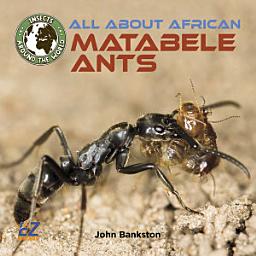 Icon image All About African Matabele Ants