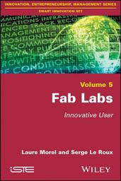 Icon image Fab Labs: Innovative User