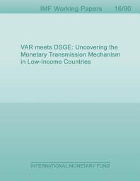 Icon image VAR meets DSGE: Uncovering the Monetary Transmission Mechanism in Low-Income Countries