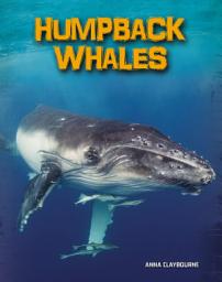 Icon image Humpback Whales