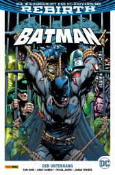 Icon image Batman - Bd. 11 (2. Serie): Der Untergang