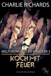Icon image Koch mit Feuer