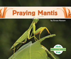 Icon image Praying Mantis