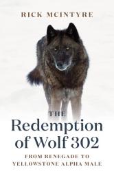 Icon image The Redemption of Wolf 302: From Renegade to Yellowstone Alpha Male
