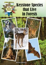 Icon image Keystone Species That Live in Forests