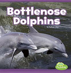 Icon image Bottlenose Dolphins: A 4D Book