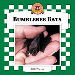Icon image Bumblebee Bats