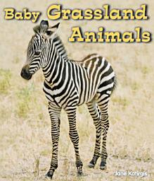 Icon image Baby Grassland Animals
