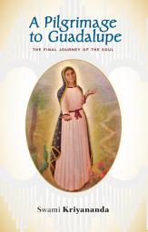 Icon image A Pilgrimage to Guadalupe: The Final Journey of the Soul