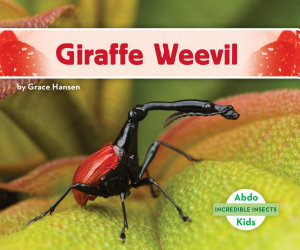 Icon image Giraffe Weevil