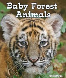 Icon image Baby Forest Animals