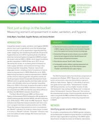 Icon image Not just a drop in the bucket: Measuring women’s empowerment in water, sanitation, and hygiene