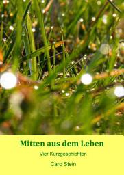 Icon image Mitten aus dem Leben: Vier Kurzgeschichten