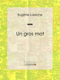 Icon image Un gros mot: Pièce de théâtre comique