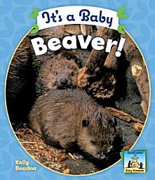 Icon image It's a Baby Beaver