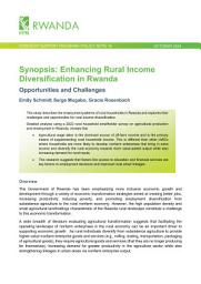 Icon image Synopsis: Enhancing rural income diversification in Rwanda: Opportunities and challenges