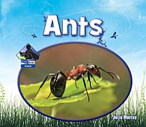 Icon image Ants