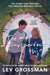 Icon image The Map of Tiny Perfect Things