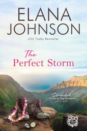Icon image The Perfect Storm: A Clean Romance Series Starter - A McLaughlin Sisters Novel