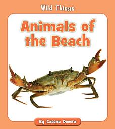 Icon image Animals of the Beach