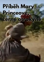 Icon image Příběh Mary Princeové, černé otrokyně