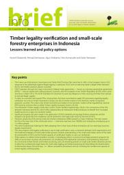 Icon image Timber legality verification and small-scale forestry enterprises in Indonesia: Lessons learned and policy options