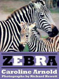 Icon image Zebra