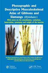 Icon image Photographic and Descriptive Musculoskeletal Atlas of Gibbons and Siamangs (Hylobates): With Notes on the Attachments, Variations, Innervation, Synonymy and Weight of the Muscles