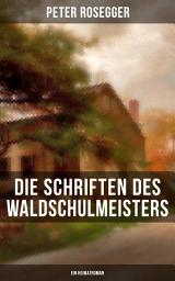 Icon image Die Schriften des Waldschulmeisters (Ein Heimatroman)