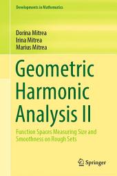 Icon image Geometric Harmonic Analysis II: Function Spaces Measuring Size and Smoothness on Rough Sets